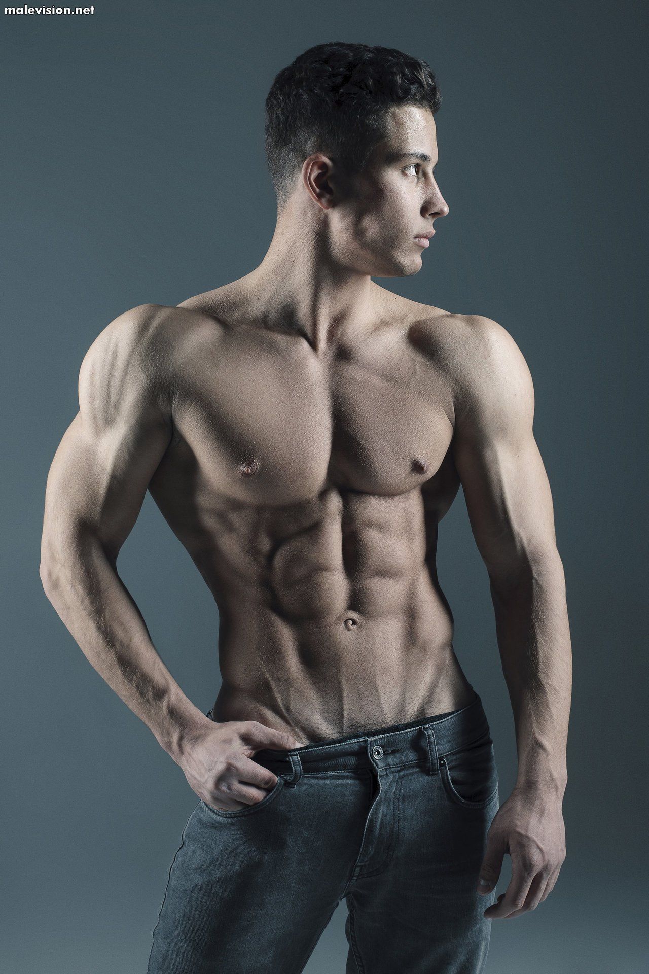 Art Dubovik model