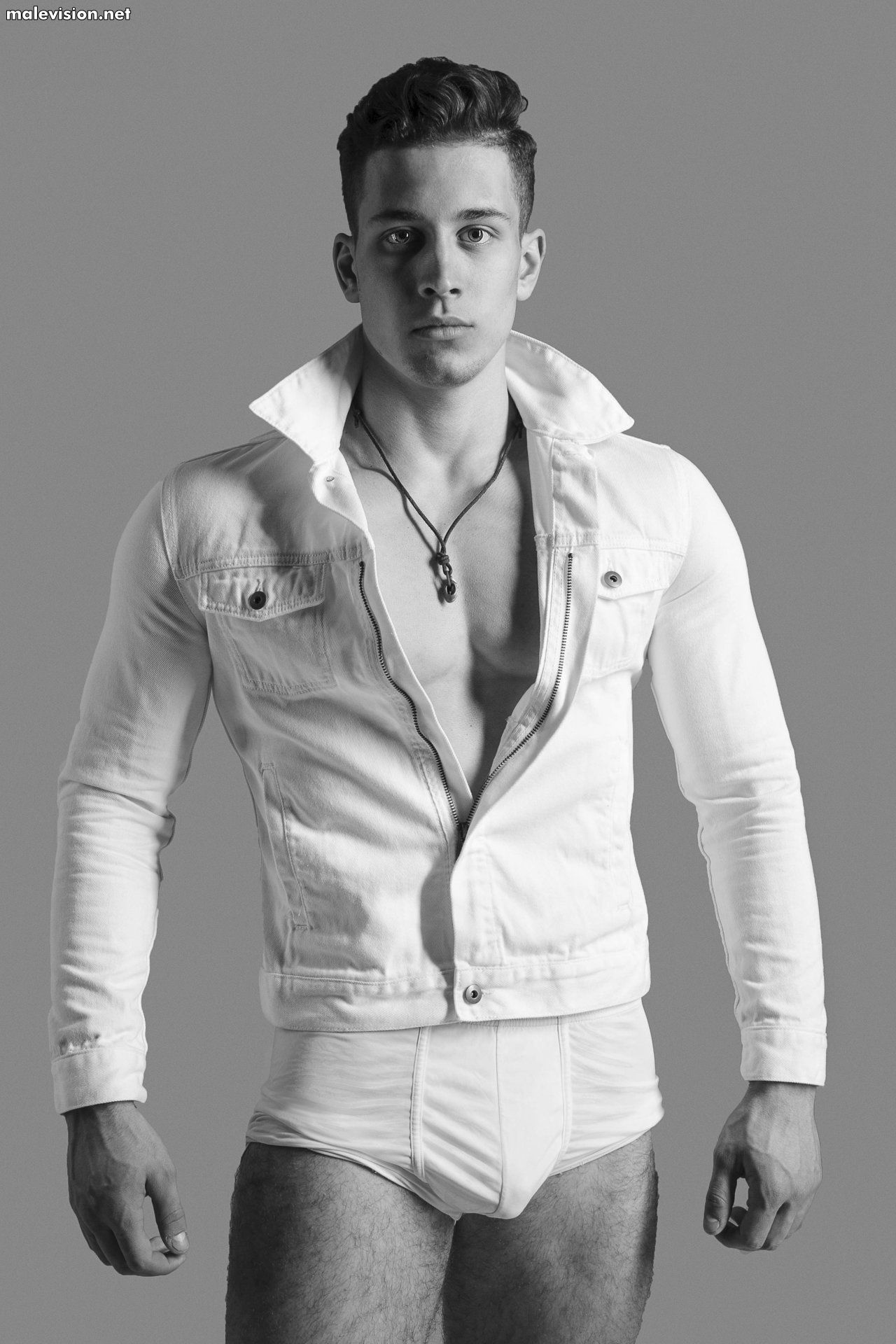 Art Dubovik model