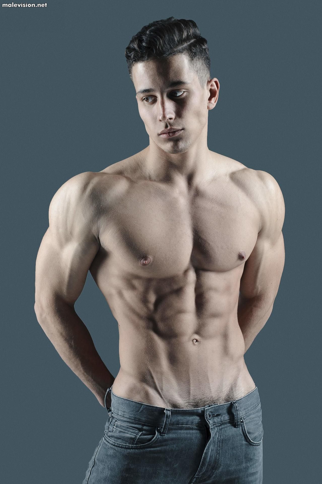 Art Dubovik model
