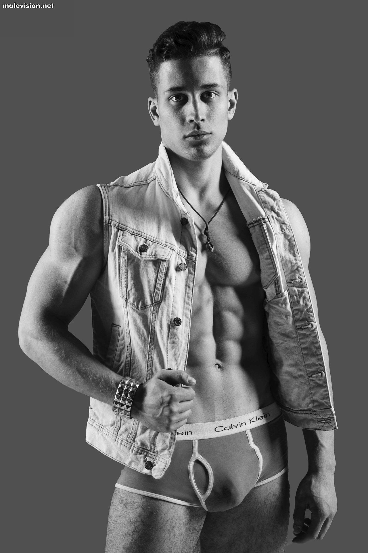 Art Dubovik model