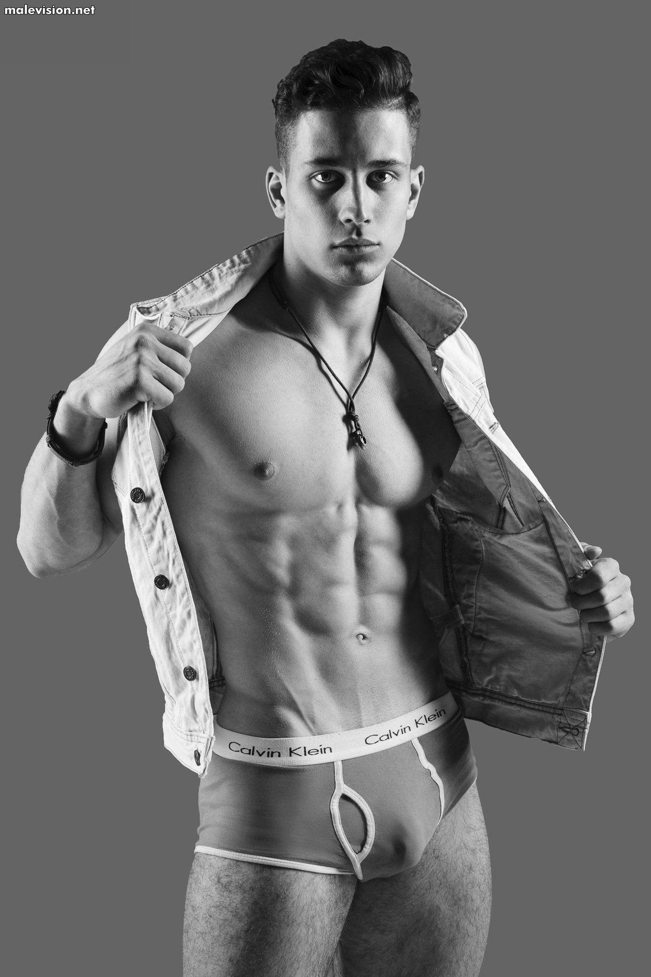 Art Dubovik model