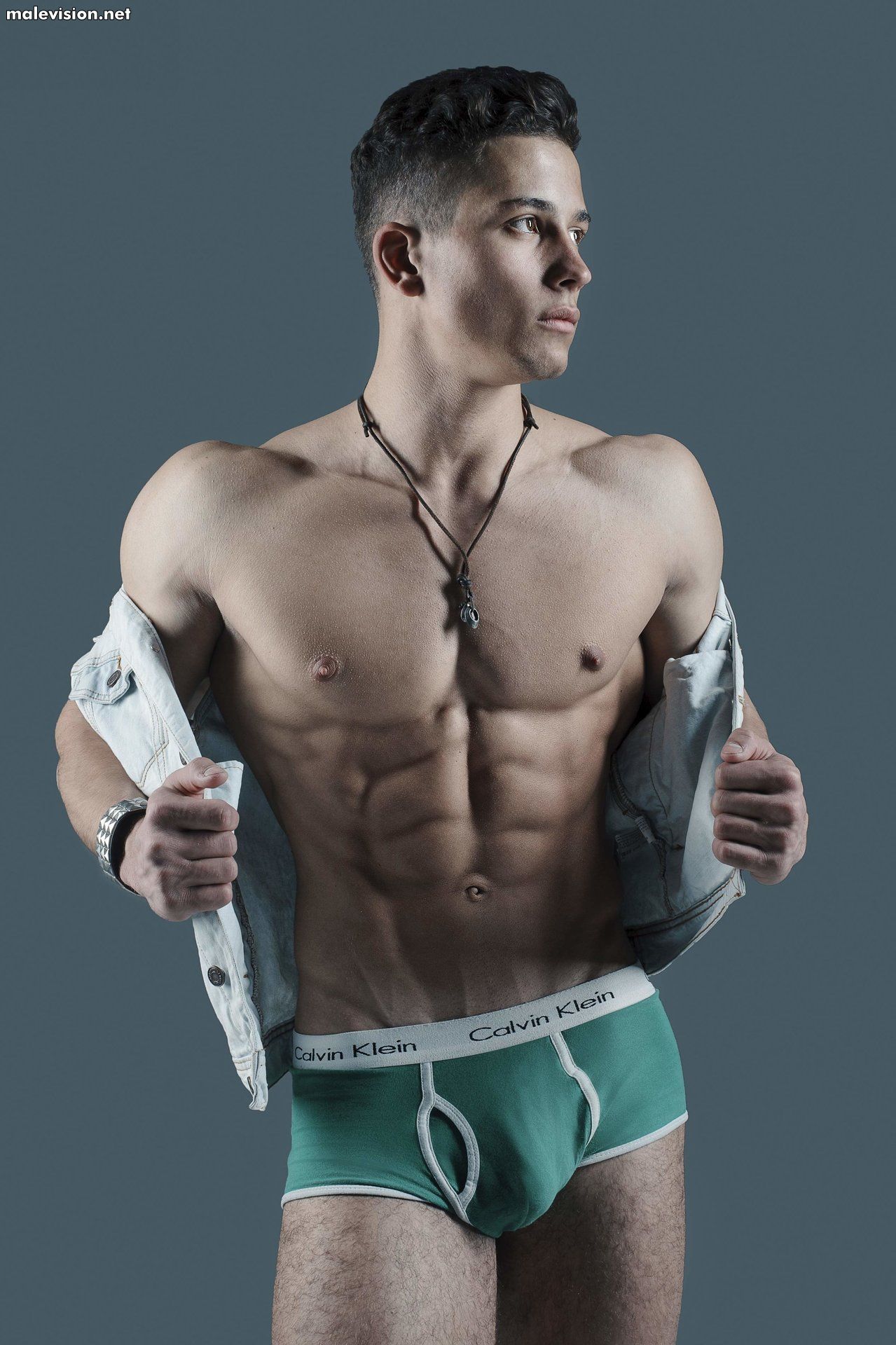 Art Dubovik model