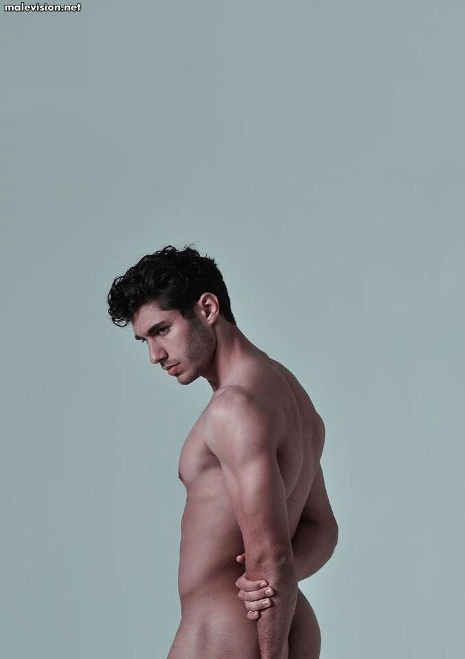 Bar Brimer model