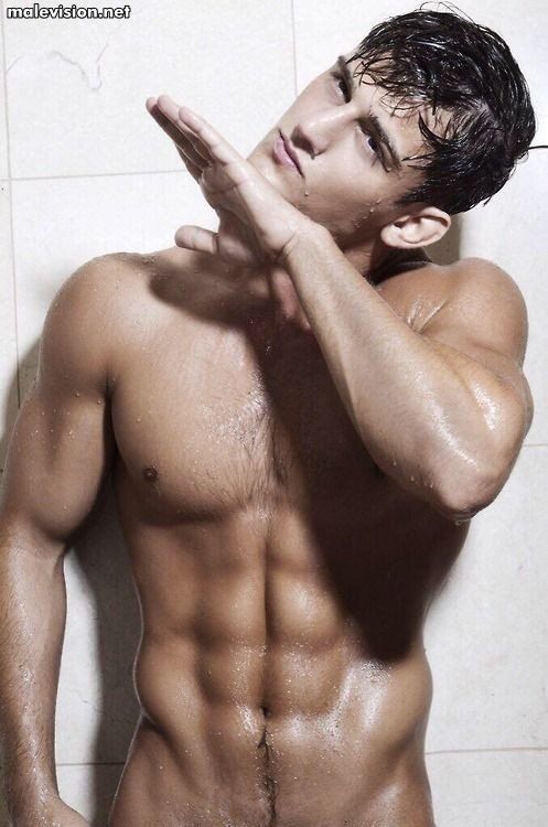 Bryant Wood model