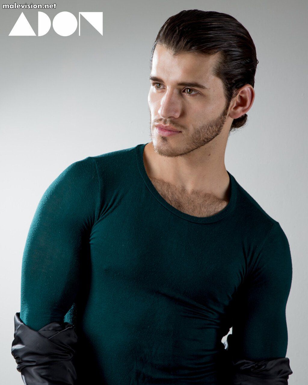 Luis Garcia model