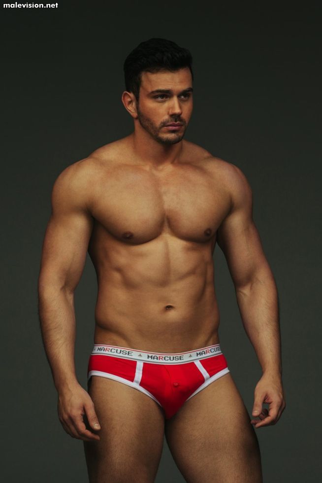 Serge Lee model
