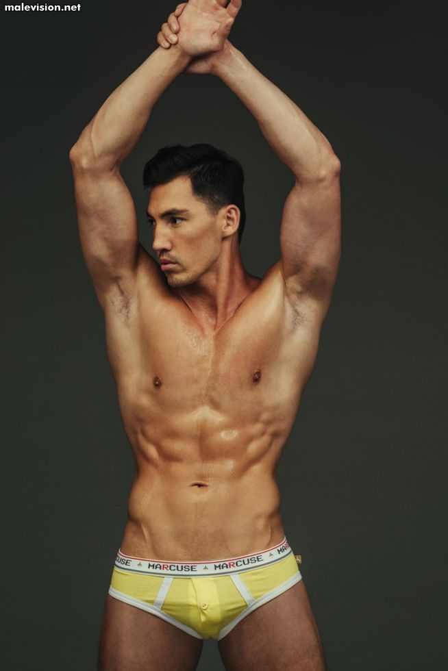 Serge Lee model