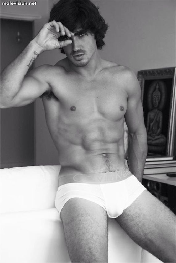 Felipe Izing model