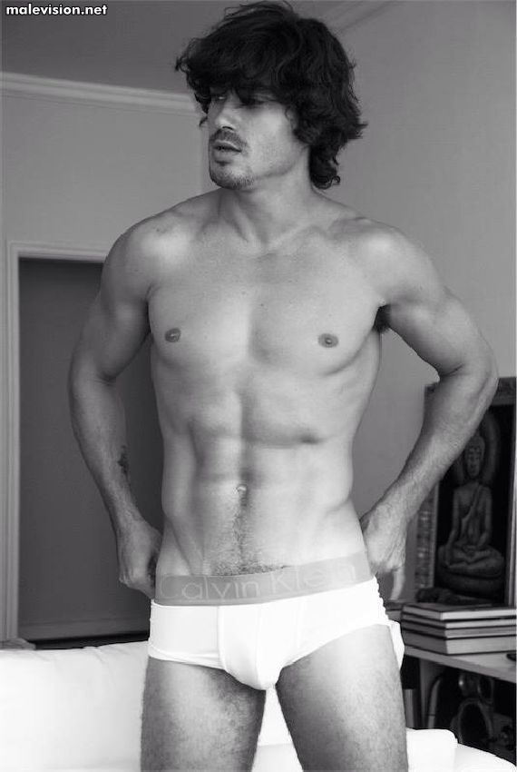 Felipe Izing model