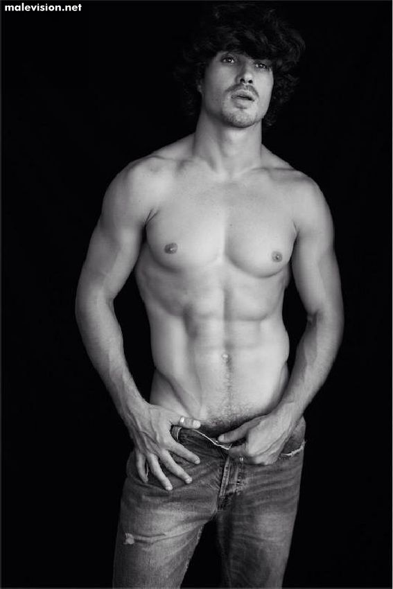 Felipe Izing model