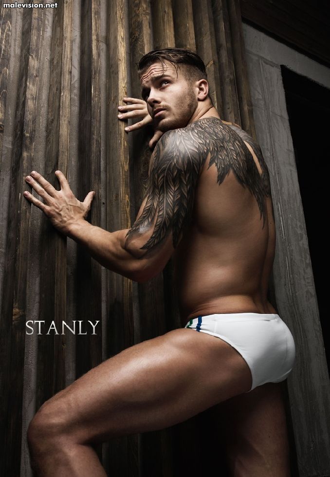 Evgeny Angelov model