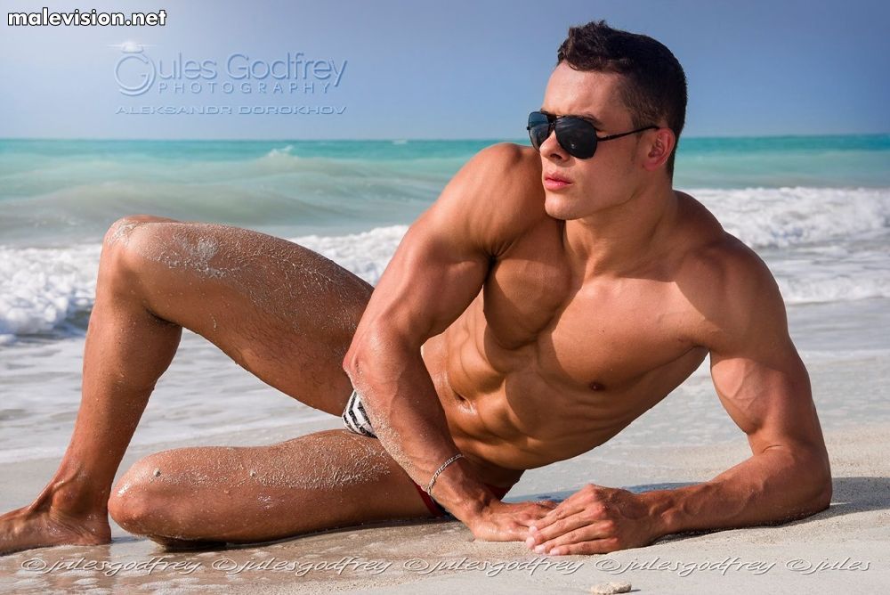 Alexander Dorokhov model