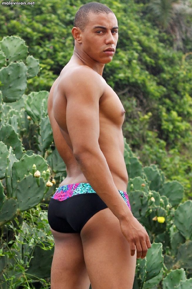 Anderson Dias model
