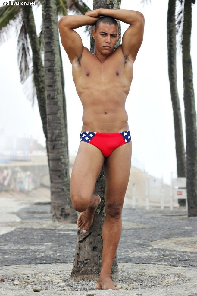 Anderson Dias model