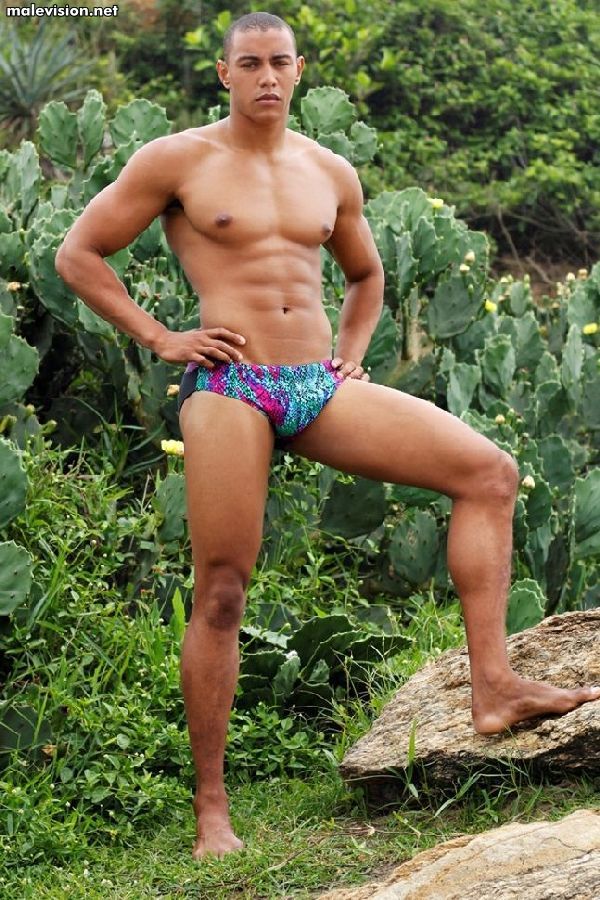 Anderson Dias model