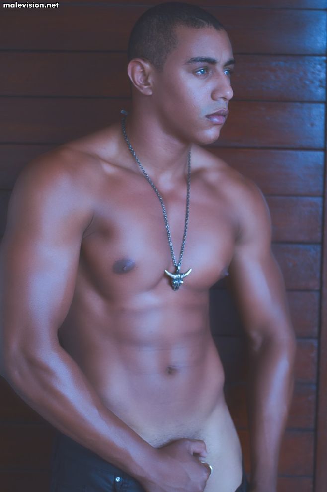Anderson Dias model
