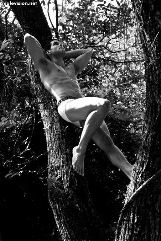 Marco Betti model