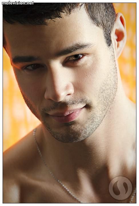 Vincent Laroche model