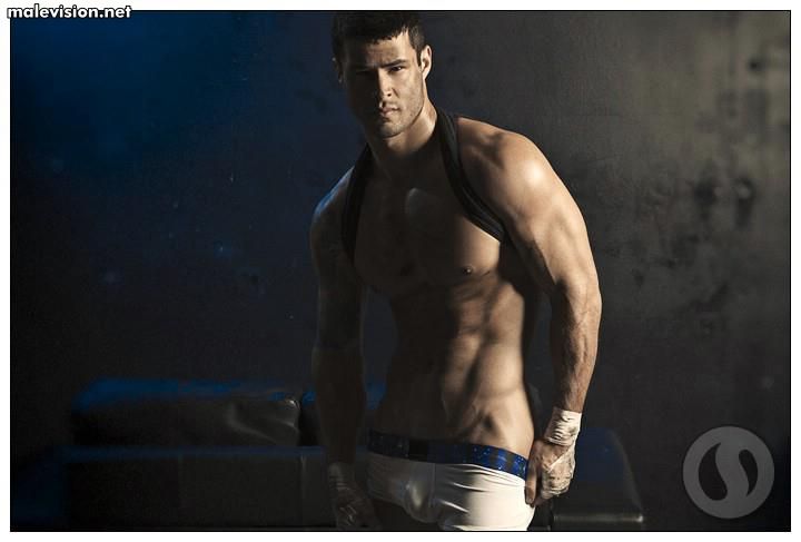 Vincent Laroche model