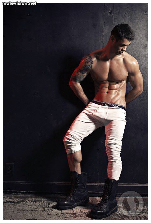Vincent Laroche model