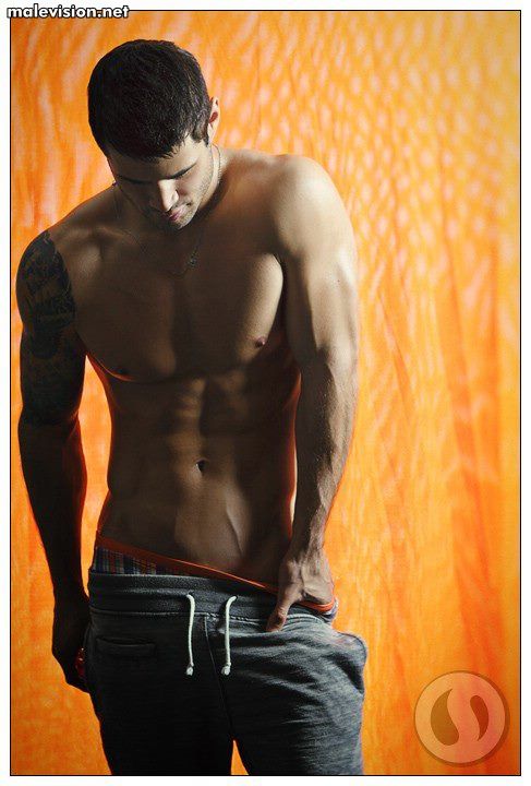 Vincent Laroche model